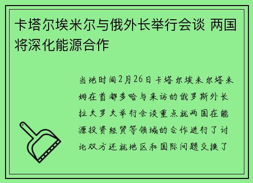 卡塔尔埃米尔与俄外长举行会谈 两国将深化能源合作