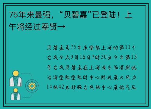 75年来最强，“贝碧嘉”已登陆！上午将经过奉贤→