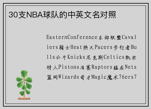 30支NBA球队的中英文名对照