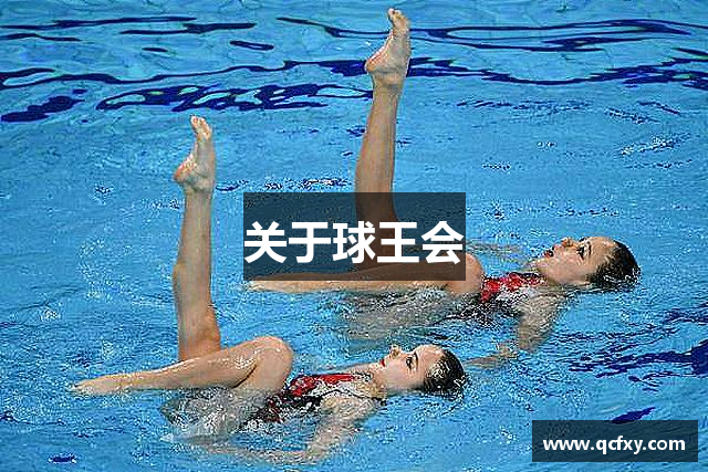 关于球王会